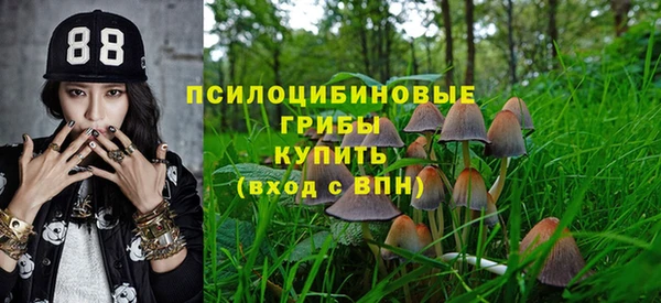 спайс Волоколамск