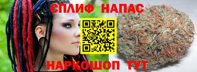 гашик Свободный