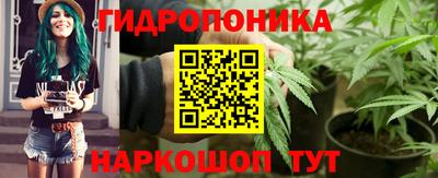 ГАЛЛЮЦИНОГЕННЫЕ ГРИБЫ Северобайкальск