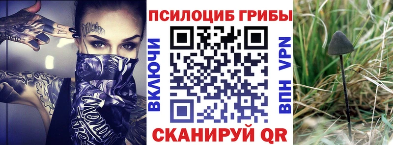 Галлюциногенные грибы ЛСД  Славянск-на-Кубани 