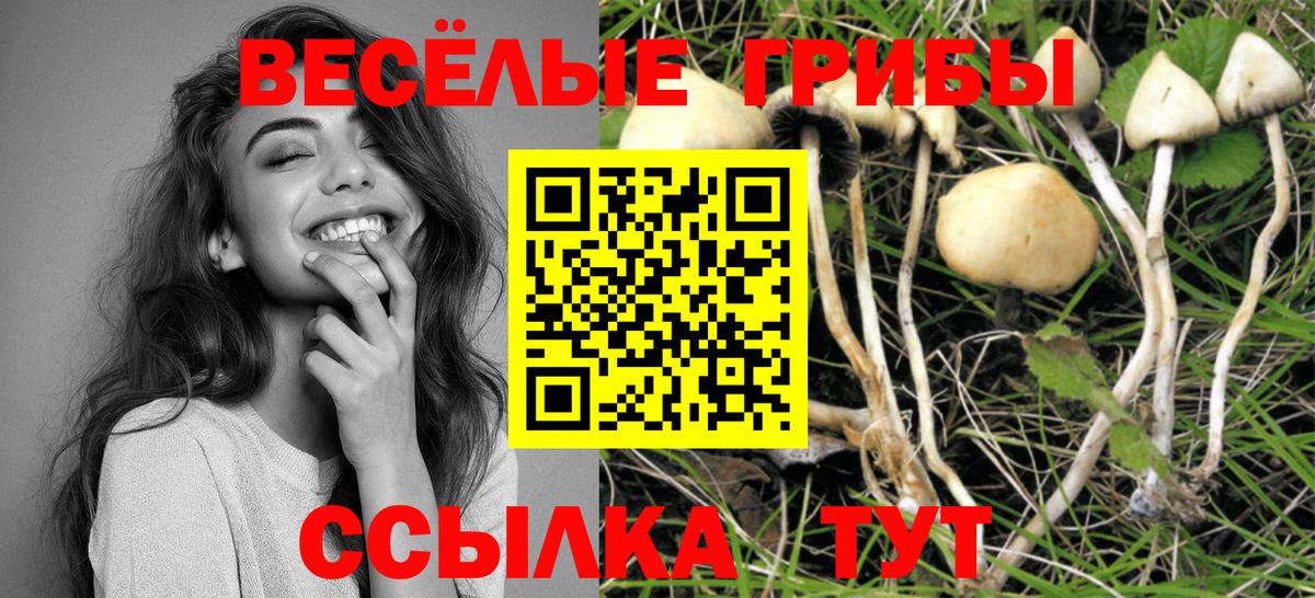 Галлюциногенные грибы прущие грибы Славянск-на-Кубани