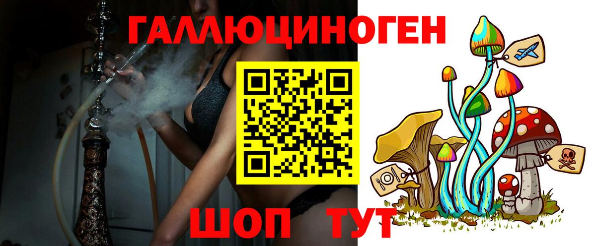 Псилоцибиновые грибы MAGIC MUSHROOMS  Вход с VPN  цена   Славянск-на-Кубани 