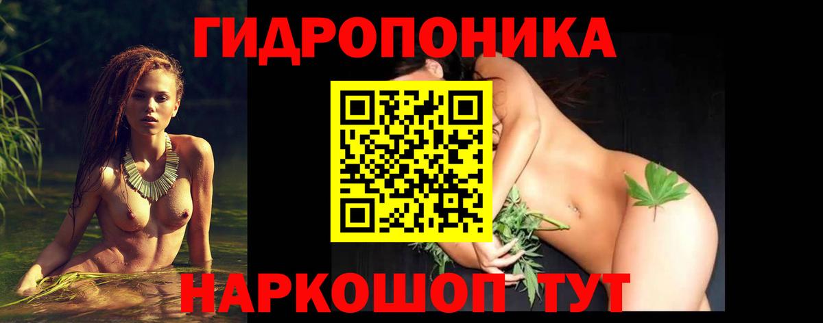 Бошки Шишки ГИДРОПОН Славянск-на-Кубани